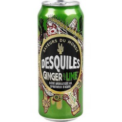 NC Bière aromatisée Desquiles Ginger 50cl