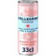 San Pellegrino ESSENZA PAMPLEMOUSSE ROSE 33cl (pack de 6)