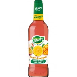 Boisson à diluer Exotique Teisseire 48cl