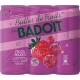 BADOIT Eau Gazeuse Aromatisée Fruits Rouges 6x33cL (pack de 6)