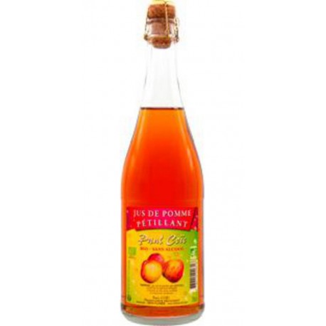 Paul Coïc Jus de pomme Pétillant sans alcool bio 75cl (test)