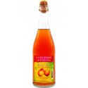 Paul Coïc Jus de pomme Pétillant sans alcool bio 75cl (test)