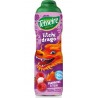 TEISSEIRE Sirop Drago Framboise et Litchi TEISSEIRE