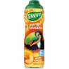 TEISSEIRE Sirop Toucan Pêche et Mangue TEISSEIRE