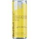 RED BULL Boisson Énergisante Goût Agrumes RED BULL