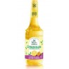 MOULIN DE VALDONNE Citronnade Concentrée Aromatisée au Citron de Sicile et au Fruit de la Passion MOULIN DE VALDONNE