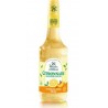 MOULIN DE VALDONNE Citronnade Concentrée Aromatisée au Citron de Sicile et à la Pêche MOULIN DE VALDONNE